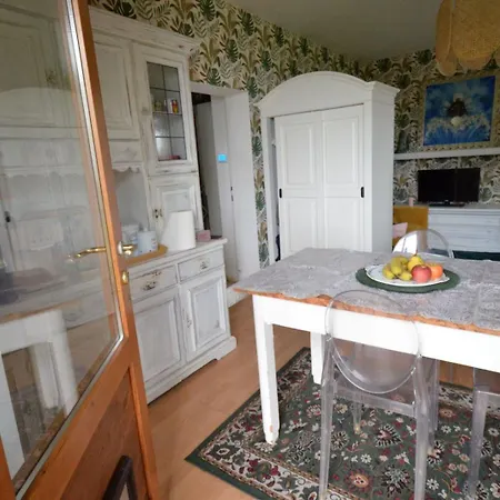 Feline Bliss In Bologna Hills A Sanctuary Hosted By Cats Daire San Lorenzo in Collina