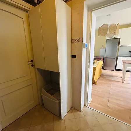Feline Bliss In Bologna Hills A Sanctuary Hosted By Cats Daire *