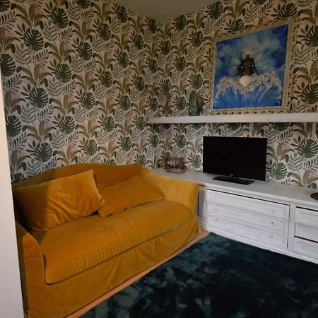 Feline Bliss In Bologna Hills A Sanctuary Hosted By Cats Daire