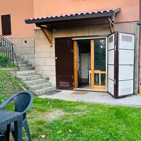 Feline Bliss In Bologna Hills A Sanctuary Hosted By Cats * San Lorenzo in Collina