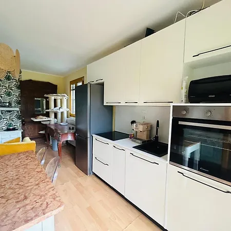 Feline Bliss In Bologna Hills A Sanctuary Hosted By Cats Daire *