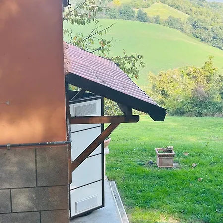 Feline Bliss In Bologna Hills A Sanctuary Hosted By Cats